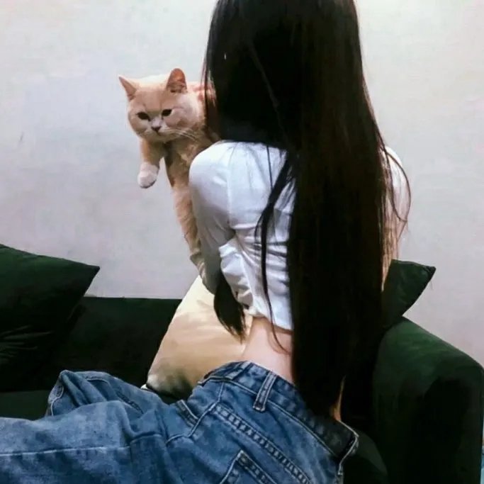 赞美皮蒂